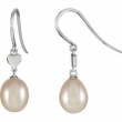 14kt White COMPLETE WITH STONE EARRINGS 25.00X06.85 MM Polished NONE