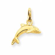 Picture of 14k Dolphin Pendant