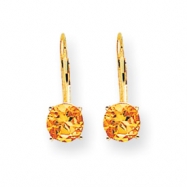 Picture of 14k 6mm Citrine leverback earring