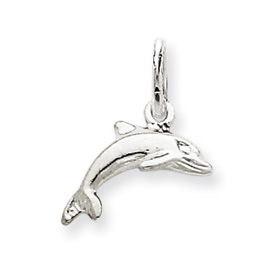 Picture of 14k White Gold Dolphin Charm