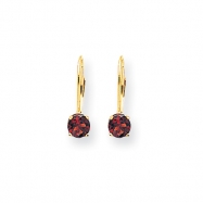 Picture of 14k 5mm Garnet leverback earring
