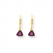 14k 5mm Rhodalite Garnet leverback earring