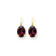 Picture of 14k 8x6mm Oval Rhodalite Garnet leverback earring