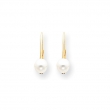 14k 5mm Pearl Leverback Earrings