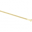 14K Yellow 20 INCH Chain