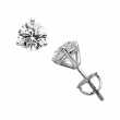 14K White Gold Diamond Earring