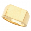 14K Yellow Gold Gents Signet Ring With Brush Finished Top