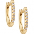 14K Yellow Gold Pair Diamond Earring