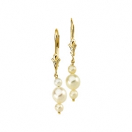 Picture of 14K Yellow Gold Pair 3.0-3.5 And 5.5- Triple Pearl White Freshwater Earring