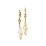 Picture of 14K Yellow Gold Pair 3.0-3.5 And 5.5- Triple Pearl White Freshwater Earring