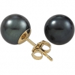 14K White Gold Pair Akoya Cultured Black Pearl Earrings