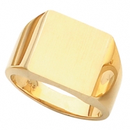 Picture of 14K Yellow Gold Gents Solid Signet Ring With Brush Finished Top