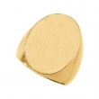 14K Yellow Gold Gents Signet Ring With Brush Finished Top