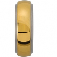 Picture of Titanium & 14K Yellow 8MM/6MM TI_14KY ROTATING BAND Rotating Band