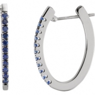 Picture of 14kt White Sapphire Blue Pair Polished Hoop Earrings