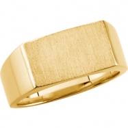 Picture of Sterling Silver 11.00X15.00 MM Polished GENTS SIGNT RING W/BRUSH FIN