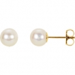 14KW PAIR 06.00 MM P AKOYA CULTURED PEARL EARRINGS