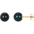 14KY PAIR 08.00 MM P BLACK PEARL EARRING