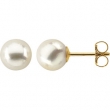 14KY PAIR 07.00 MM P CULTURED PEARL EARRING