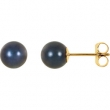 14KY PAIR 06.00 MM P BLACK PEARL EARRING