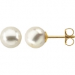 14KY PAIR 08.00 MM P CULTURED PEARL EARRING