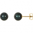14KY PAIR 07.00 MM P BLACK PEARL EARRING