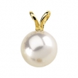 14KY 08.00 MM P CULTURED PEARL PENDANT