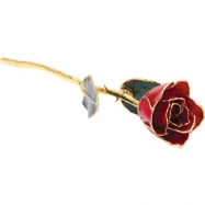 Picture of LACQ. RED ROSE LACQUER RED ROSE W/GOLD TRIM