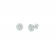 Picture of 10 Pointer diamond earrings