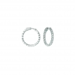 15 Pointer hoop earrings/patented snap lock