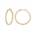 2 Pointer hoop earrings/patented snap lock