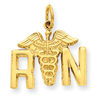 14k Registered Nurse Charm