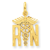 14k Nurse Charm