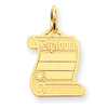 14k Diploma Charm