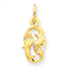 14k Pisces Zodiac Charm