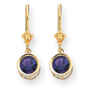 14k 6mm Amethyst leverback earring