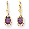 14k 9x7mm Oval Rhodalite Garnet leverback earring