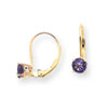 14k 5mm Amethyst leverback earring