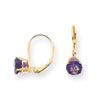 14k 6mm Amethyst leverback earring