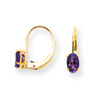 14k 6x4mm Oval Amethyst leverback earring