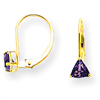 14k 5mm Trillion Amethyst leverback earring