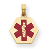 14k Enameled Medical Disk Pendant
