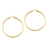 14k Polished Hoop Earring