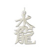 Sterling Silver "Water dragon" Kanji Chinese Symbol Charm