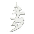 Sterling Silver "Cheetah" Kanji Chinese Symbol Charm