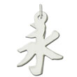 Sterling Silver "Eternity" Kanji Chinese Symbol Charm