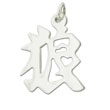 Sterling Silver "Wolf" Kanji Chinese Symbol Charm