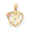 14k Two-Tone Initial H in Heart Charm