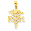 14k Polished R.N. Pendant