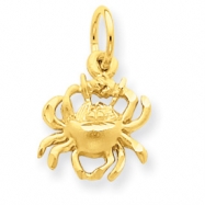 Picture of 14k Cancer Zodiac Charm